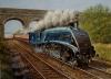 Sir Nigel Gresley